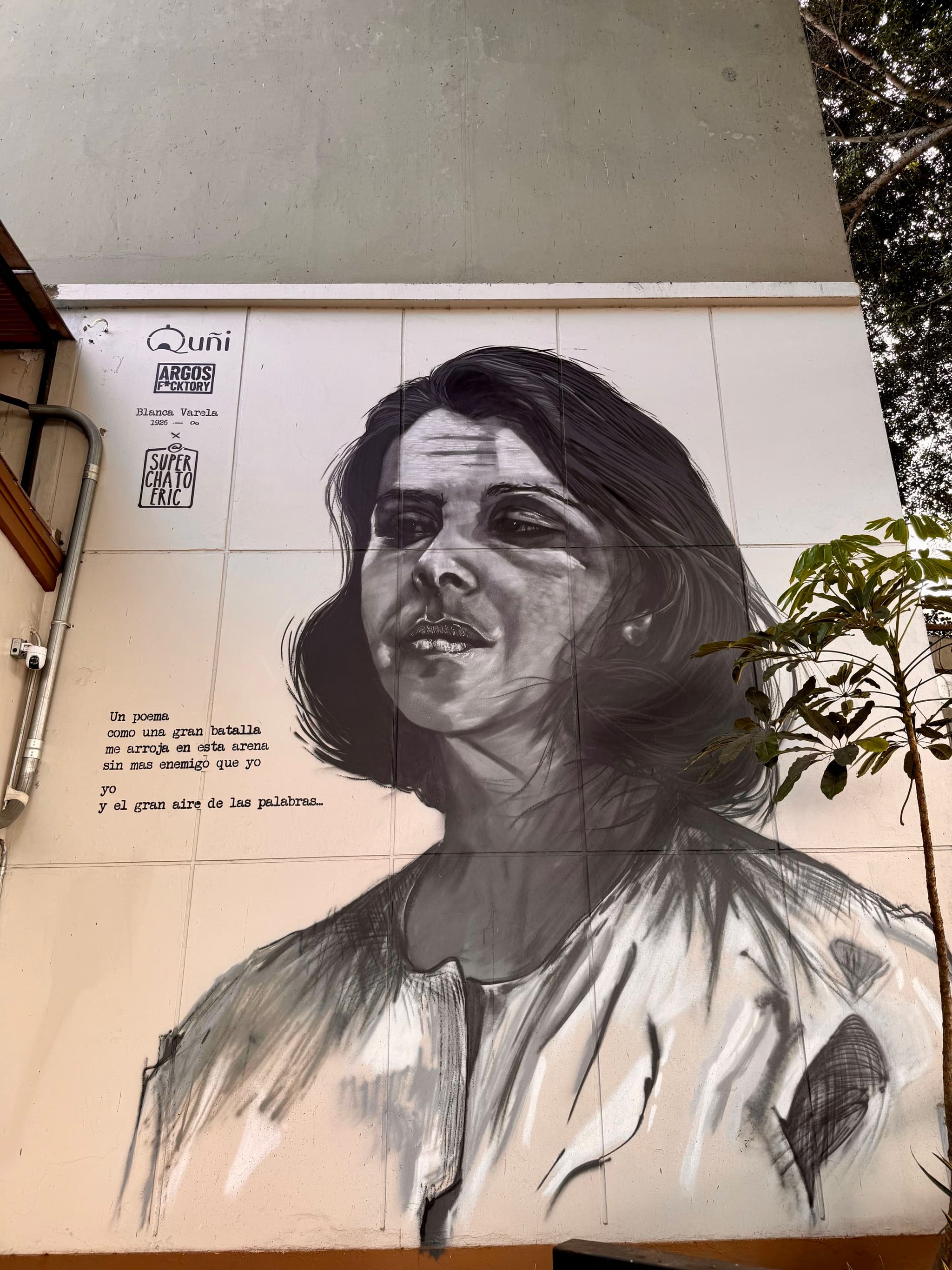 no more enemy than me