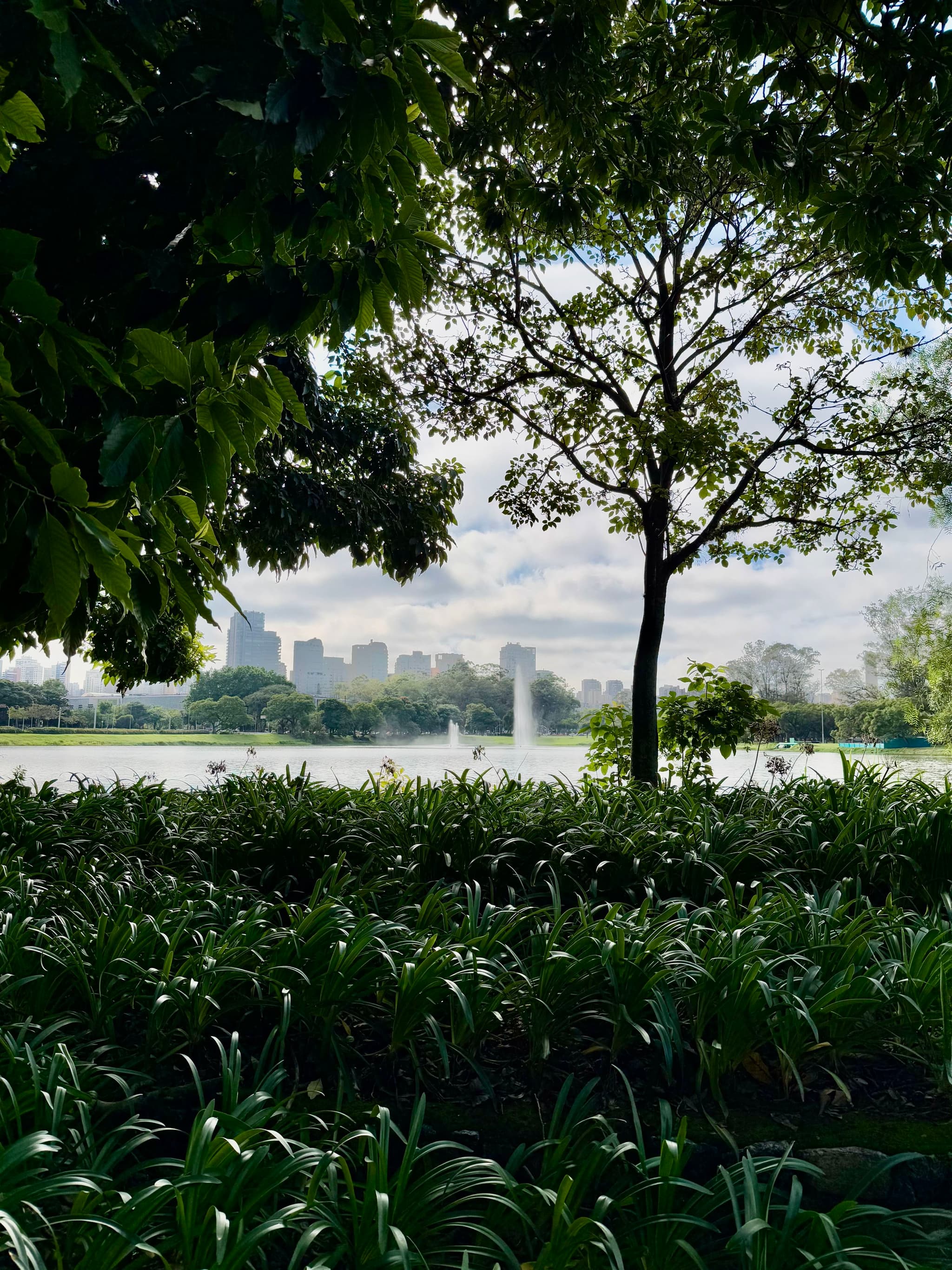 Ibirapuera Park