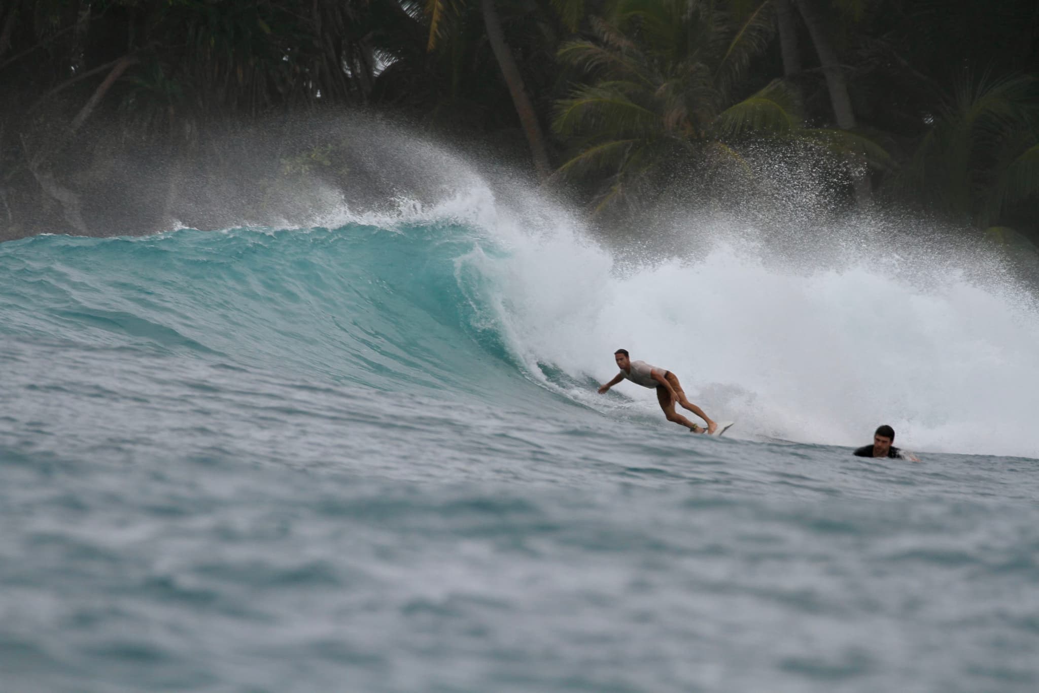 cj shredding