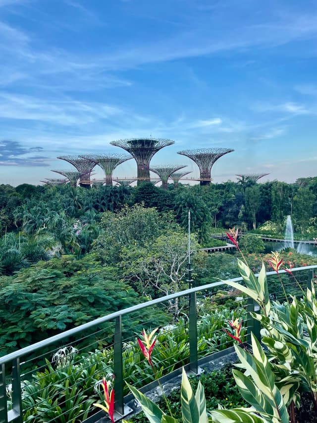 Gardens by the Bay