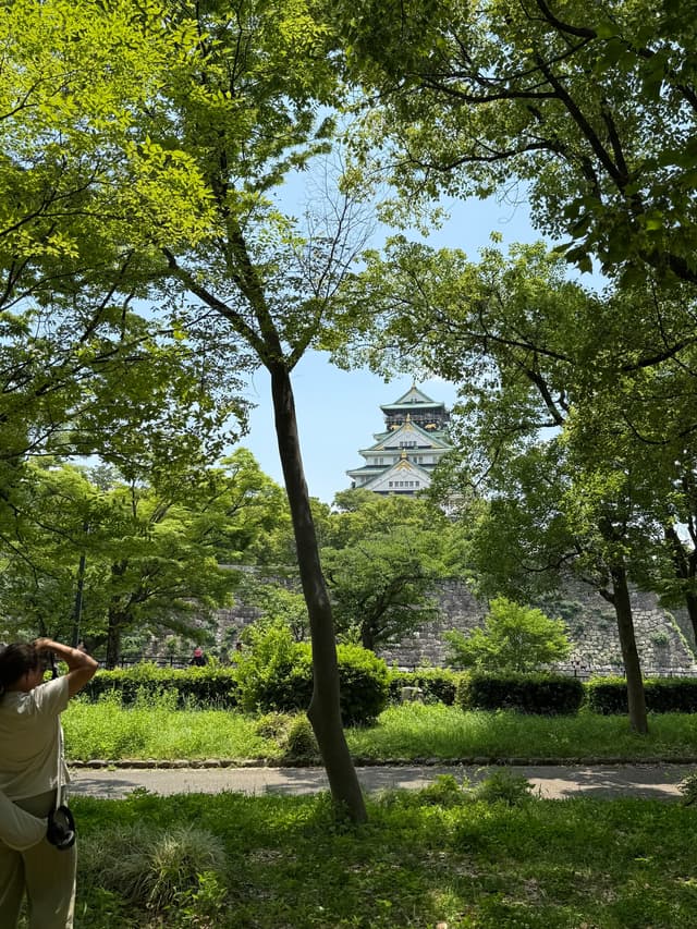 osaka castle