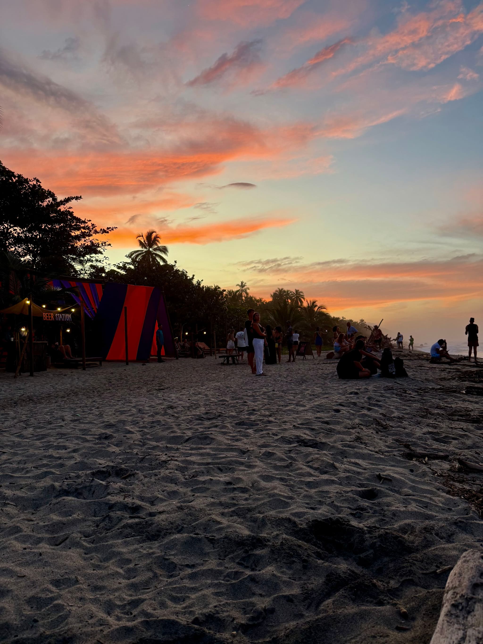 never made it to the jungle party