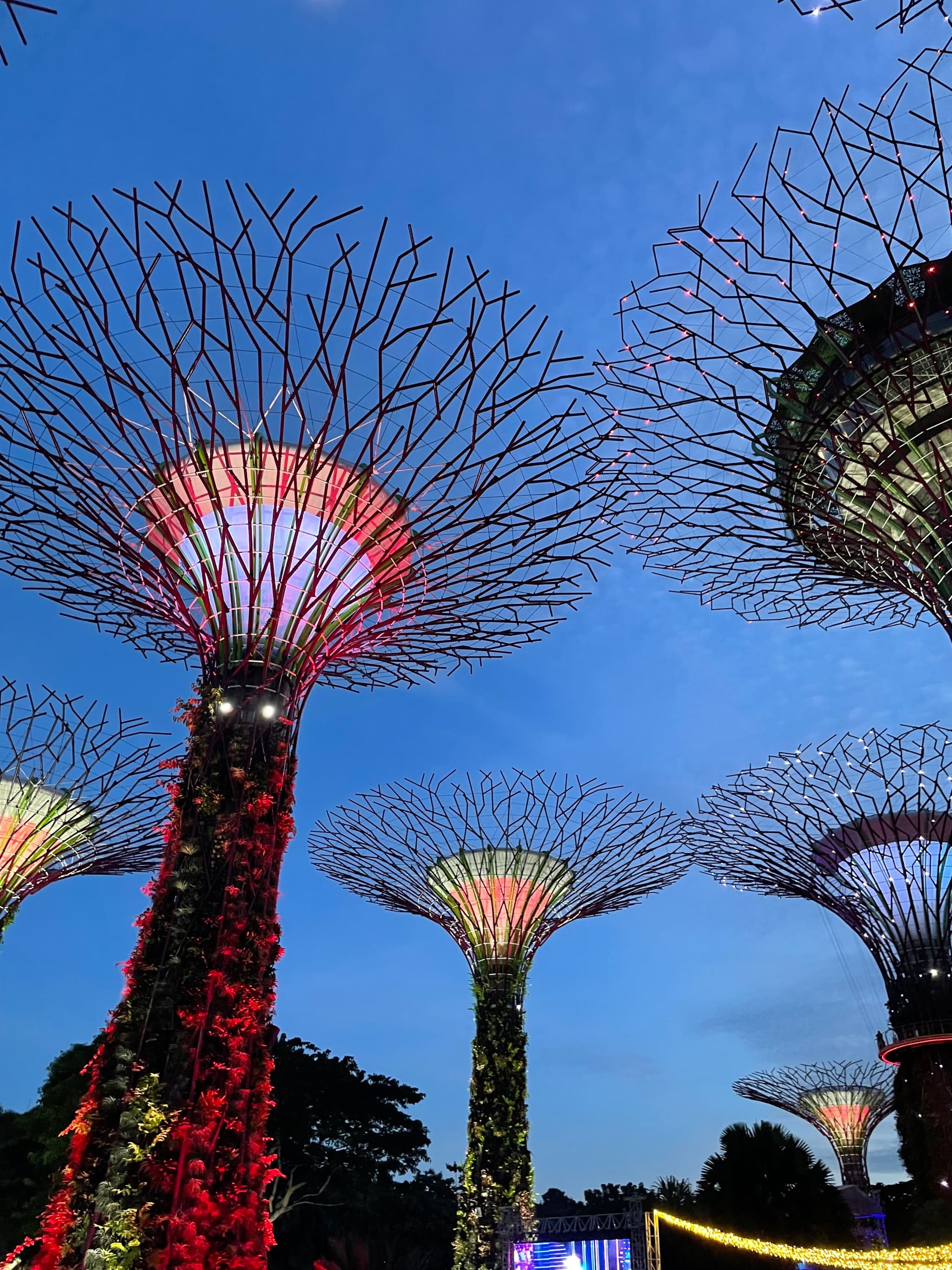 Gardens by the Bay